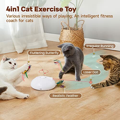 Cats playing with a 4-in-1 exercise toy featuring a fluttering butterfly, realistic feather, irregular running, and laser dot.