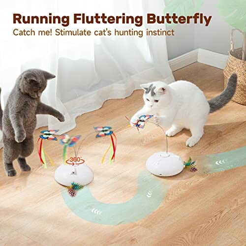 Two cats playing with a rotating butterfly toy on a wooden floor.