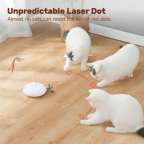 Three cats playing with a laser dot on a wooden floor.