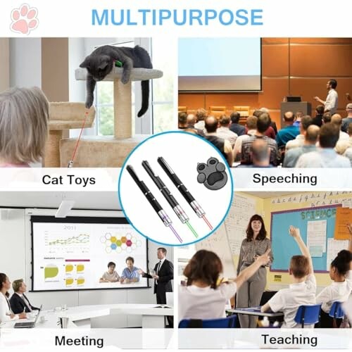 Collage showing multipurpose uses of a laser pointer for cat toys, speaking, meetings, and teaching.